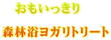 　おもいっきり  森林浴ヨガリトリート